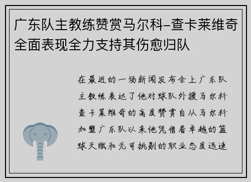 广东队主教练赞赏马尔科-查卡莱维奇全面表现全力支持其伤愈归队